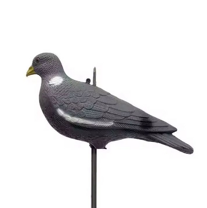 Negaça Pombo Fechado