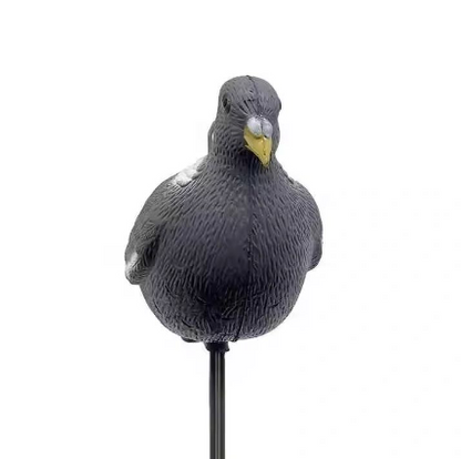 Negaça Pombo Fechado
