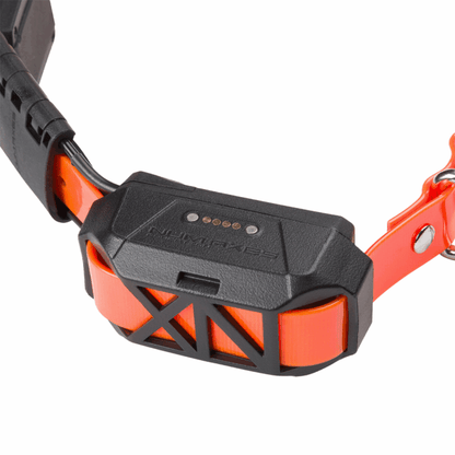 Coleira adicional Canicom GPS Mini com treino