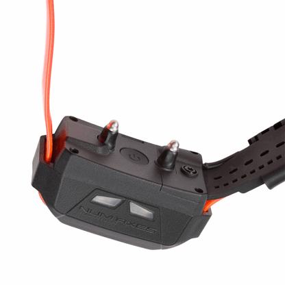Coleira adicional Canicom GPS Mini com treino