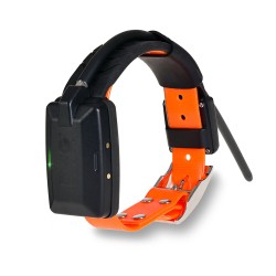 Dogtrace GPS X20