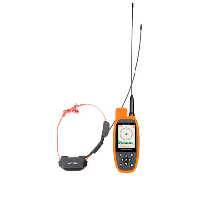 Canicom GPS Mini com treino